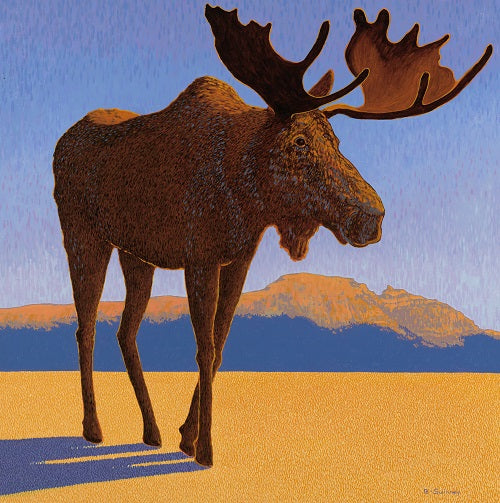 Brenda Swinney: Sleeping Indian Moose Print