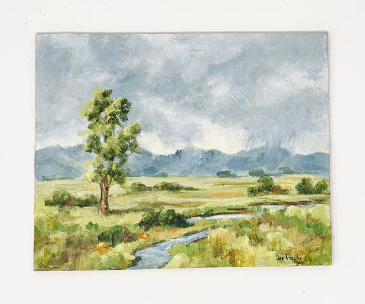 Dee Parker: Storm Coming