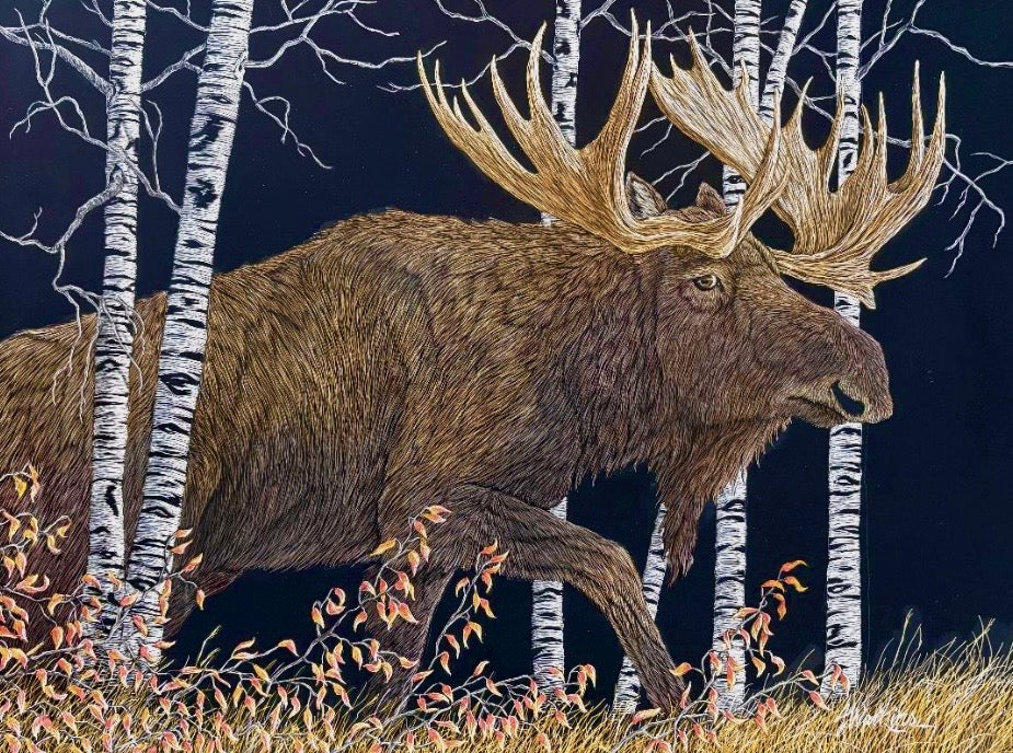 Joe Watkins: Walk In The Woods