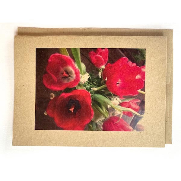 Tessa Johnson: Winter Flower Power Cards