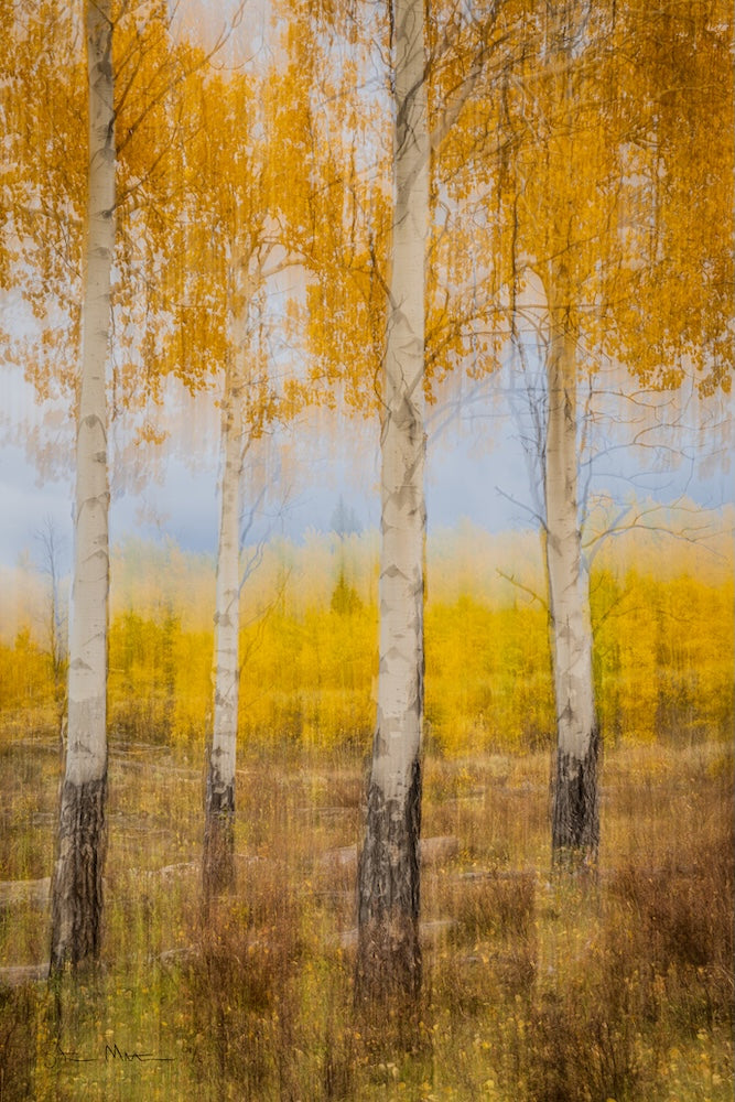 Steve Mattheis: Autumn Vibes, ed. 1/25