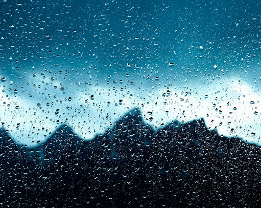 Steve Mattheis: Through the Windshield