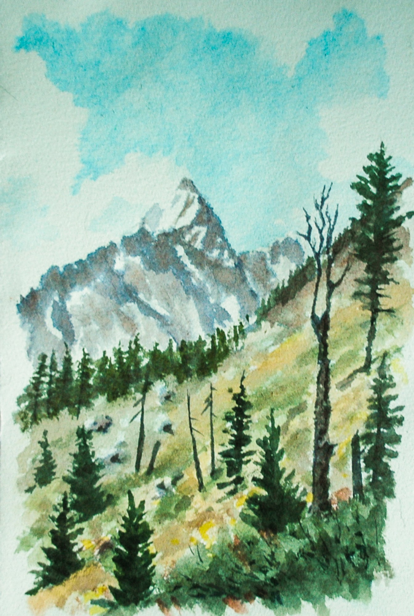 Susan Marsh: Valley Trail View