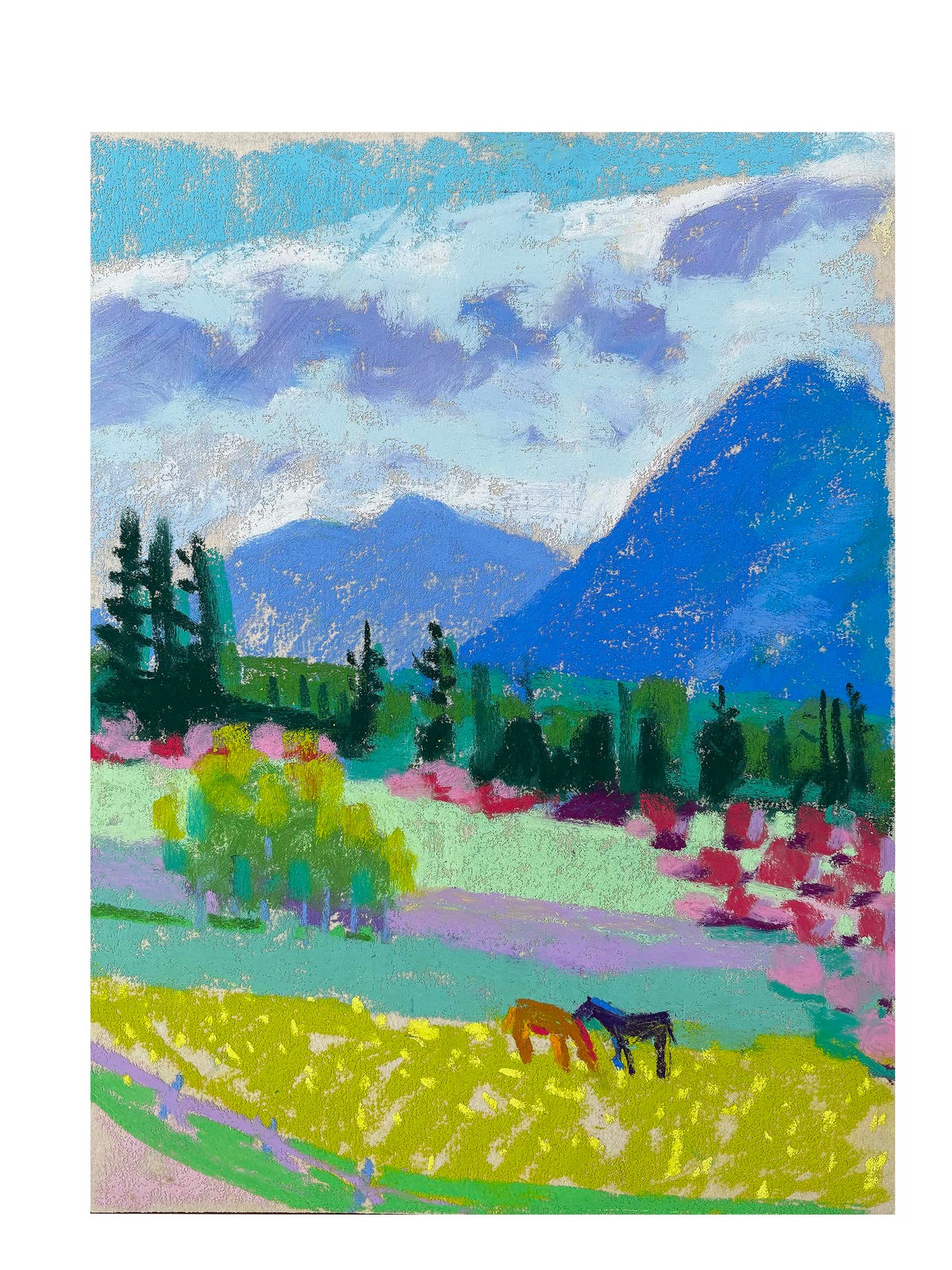 Carrie Geraci: Spring on the Ranch