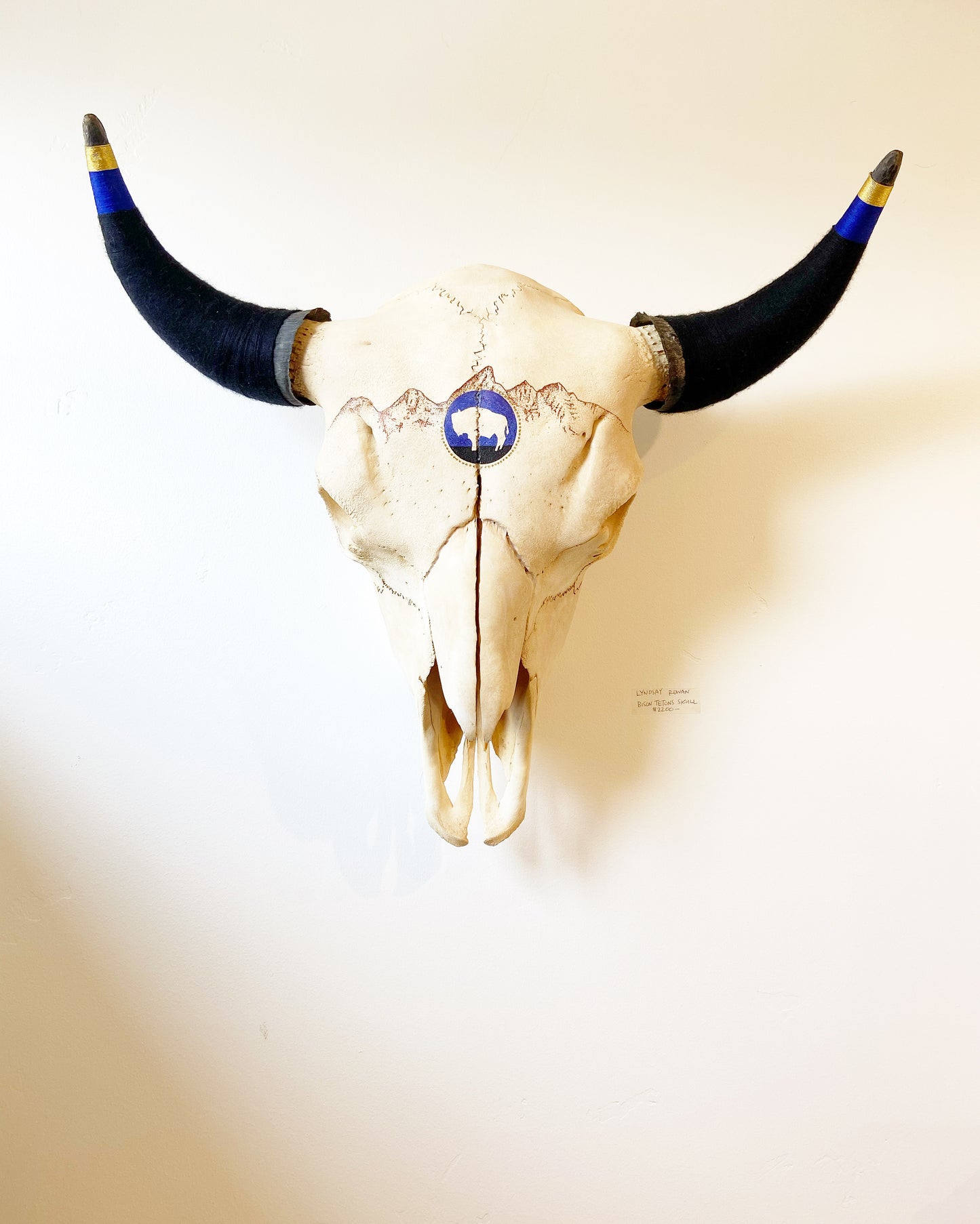 Lyndsay Rowan: Bison Tetons Skull