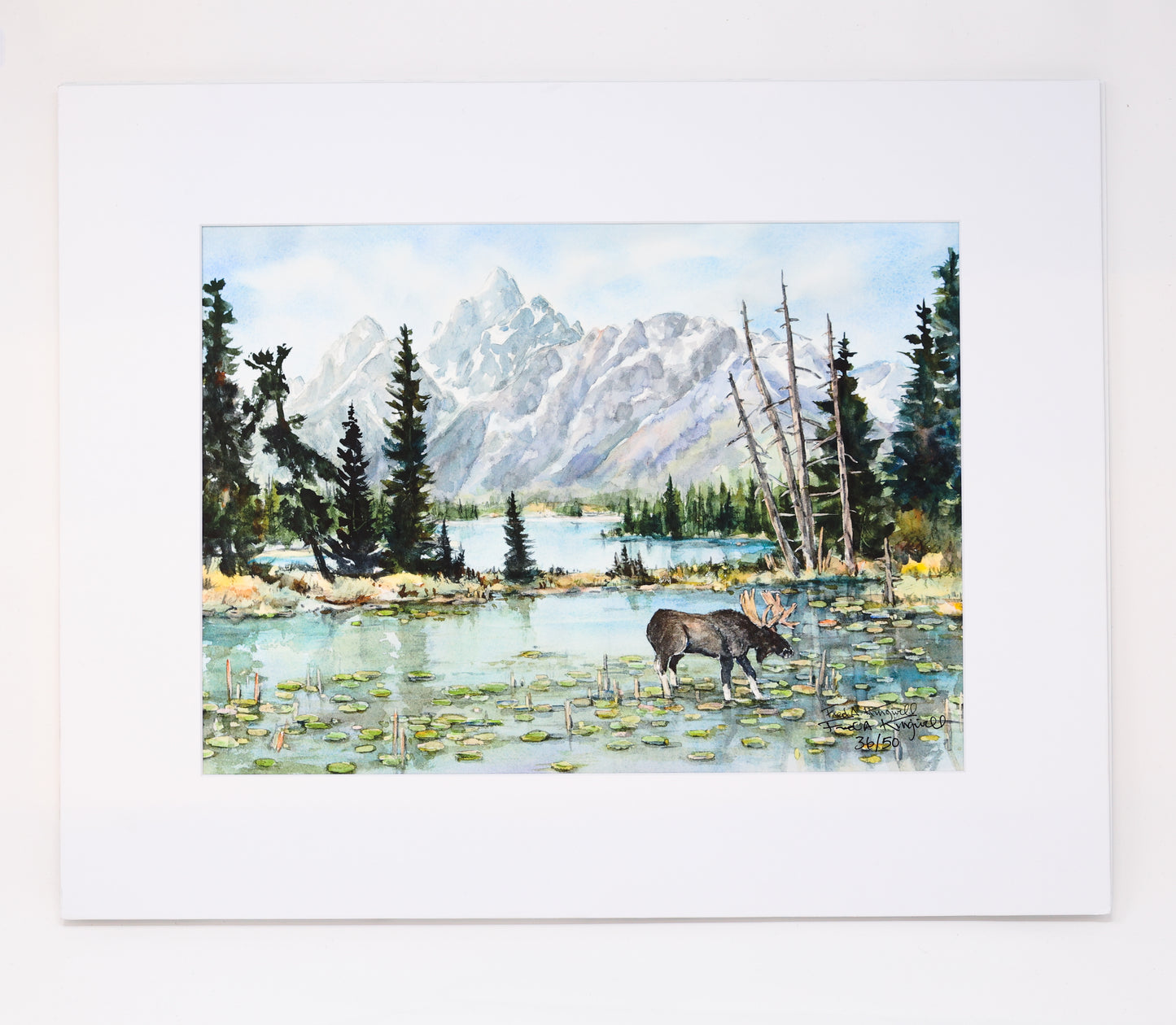 Fred Kingwill: Moose at Heron Pond Print
