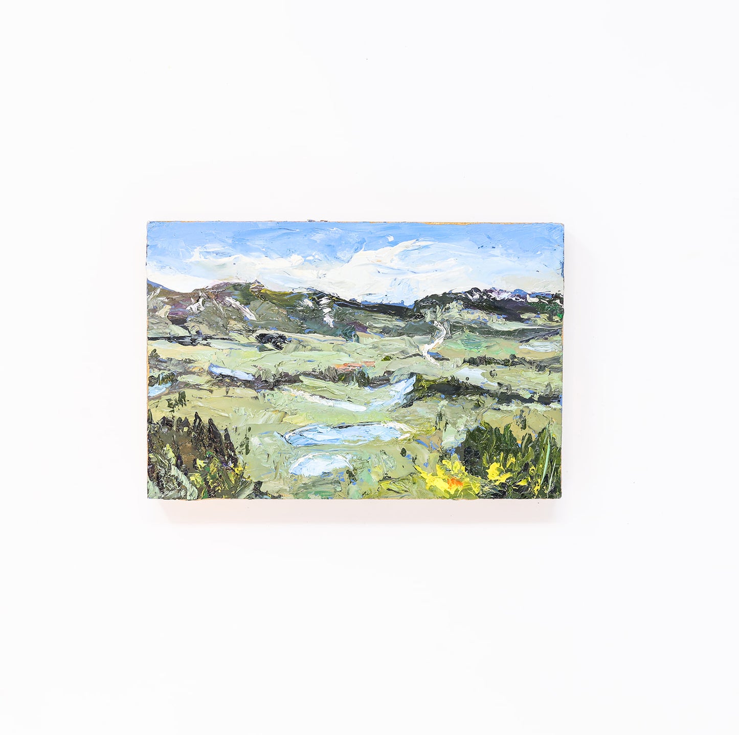 Richard Tambor: Mini Palette Oil Paintings