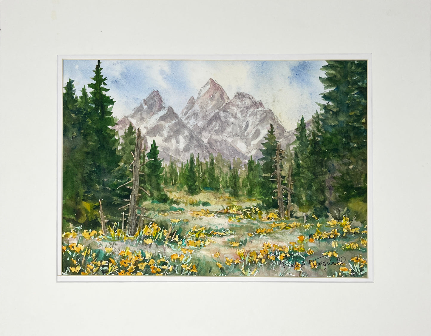 Fred Kingwill: Balsamroots in Teton
