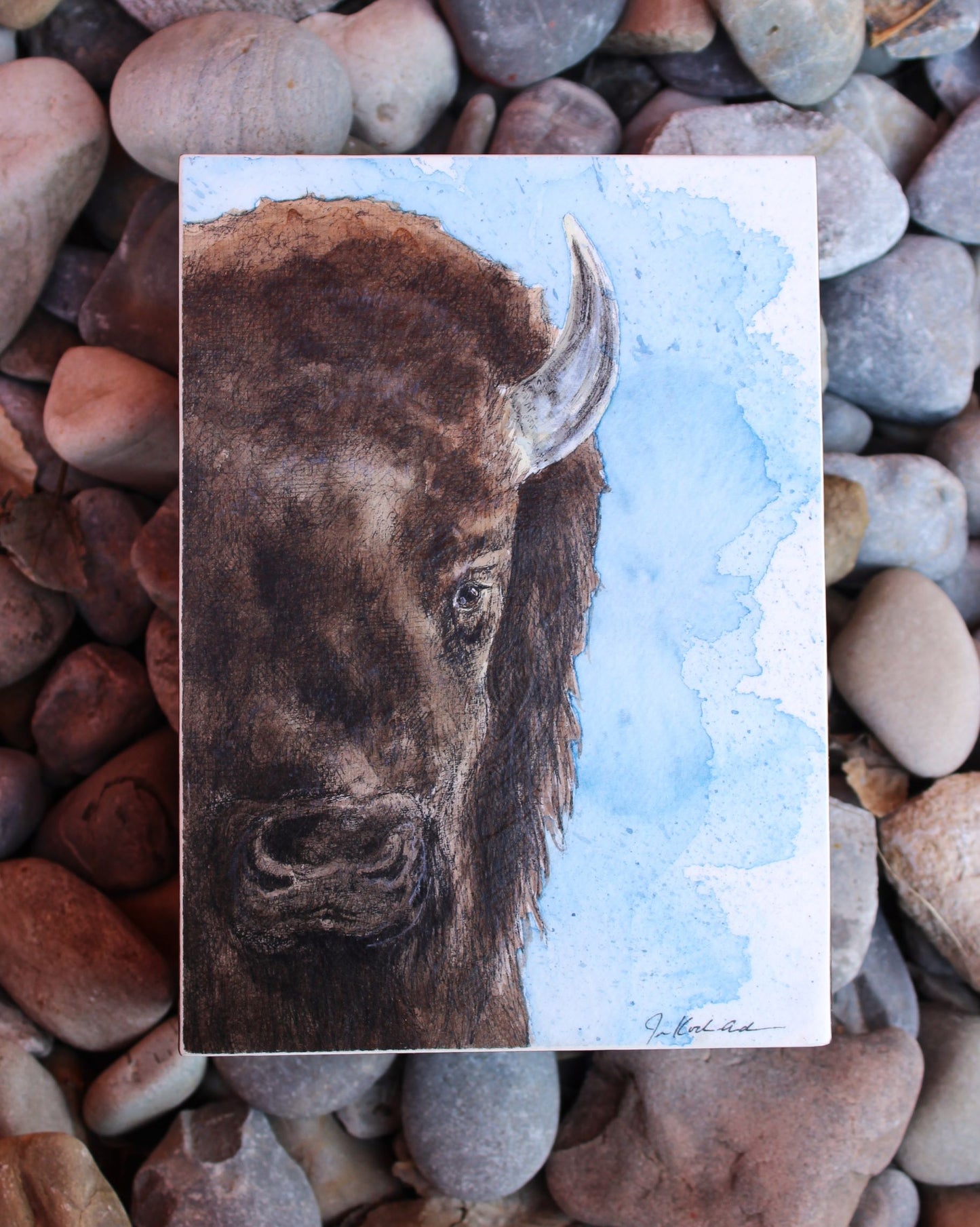 Stoic: Bison