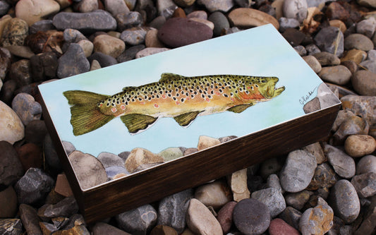 Searching: Brown Trout