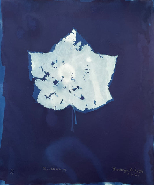 Bronwyn Minton: Cyanotype (B)