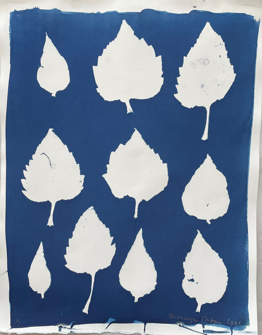 Bronwyn Minton: Cyanotype (C)