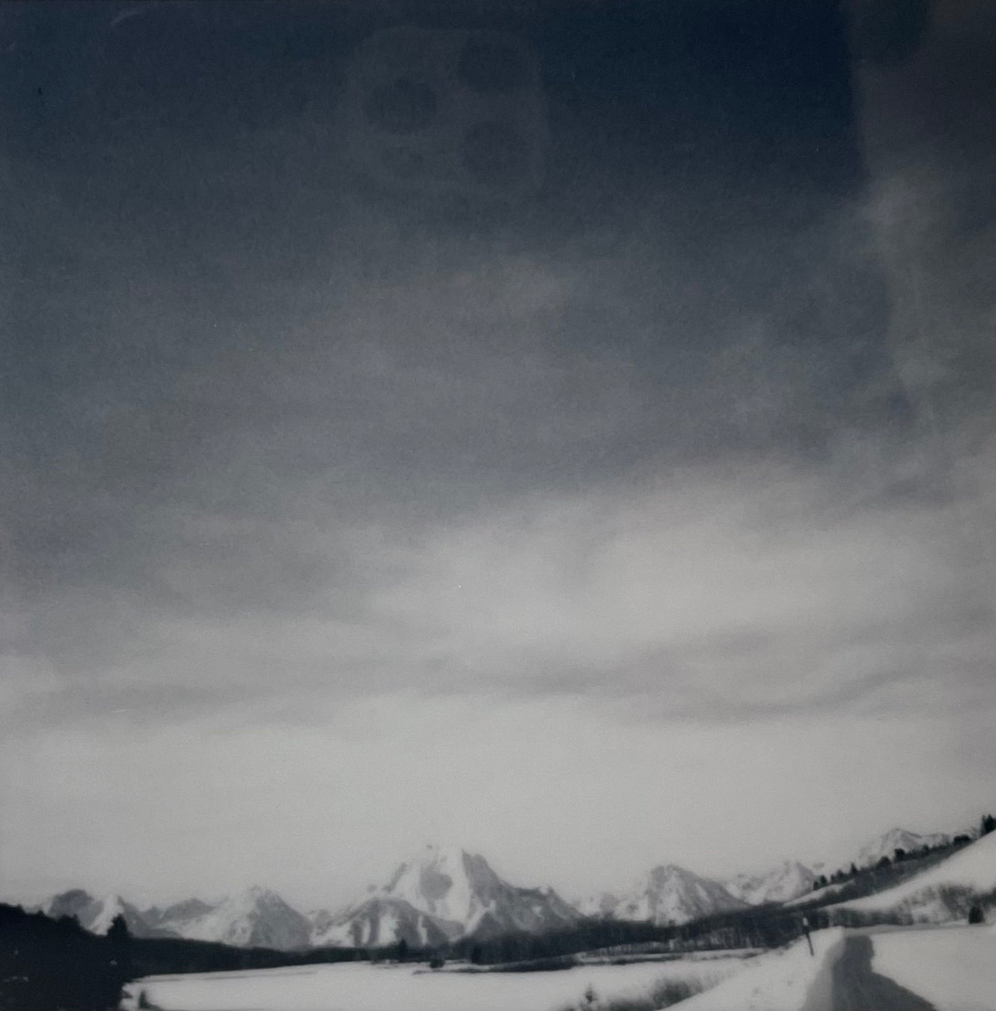 Bronwyn Minton: Polaroid