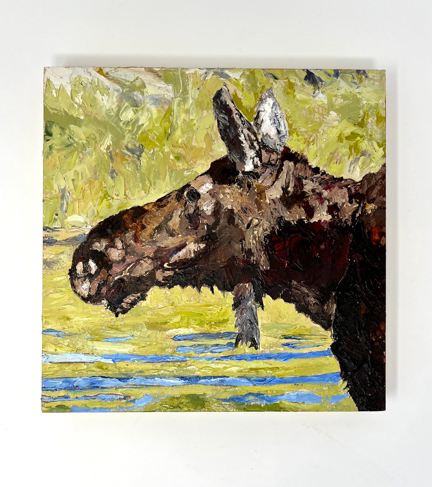 Richard Tambor: Portrait of a Moose