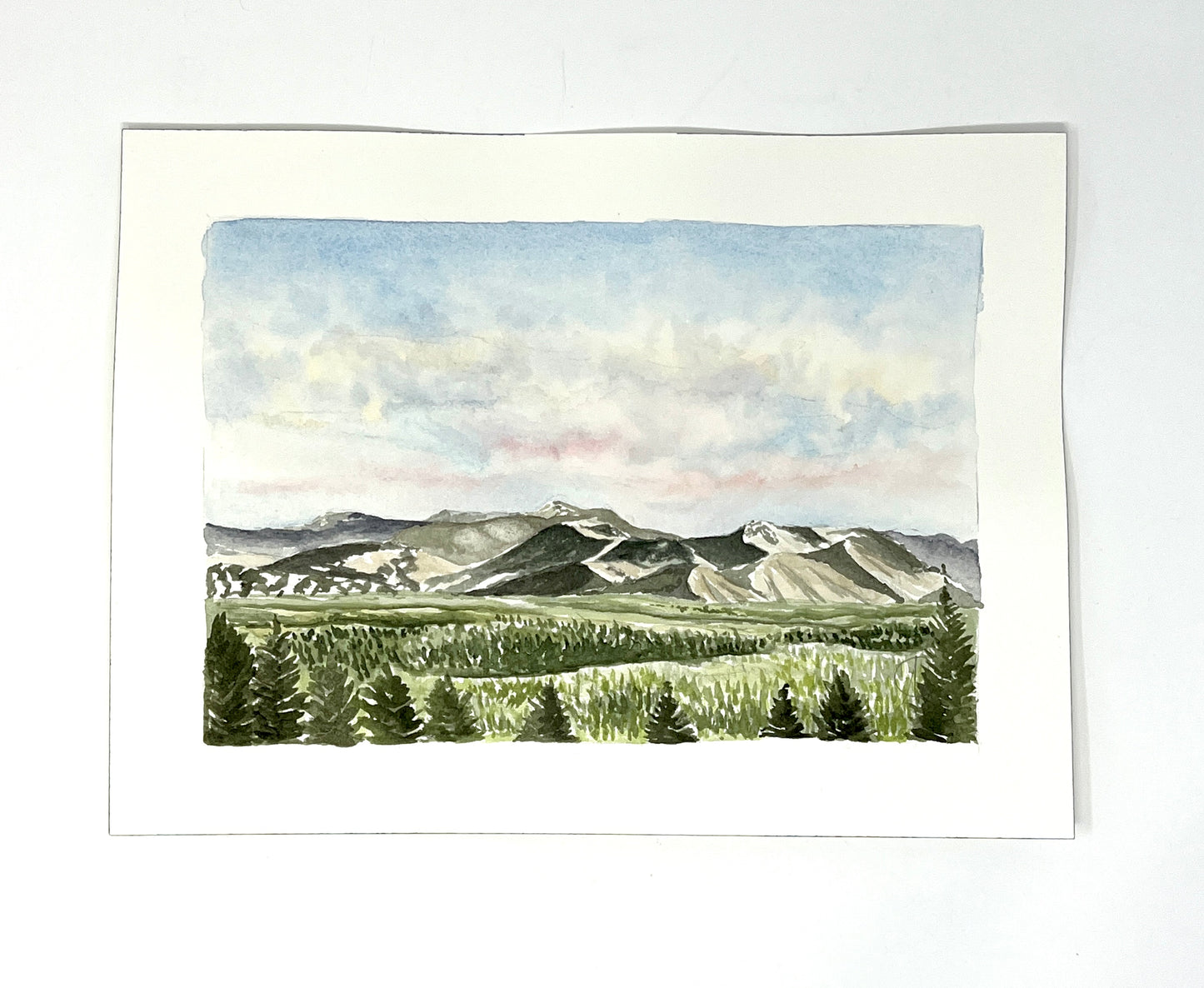 Natalie Connell:  Watercolor 9 x 12 inches (unframed)