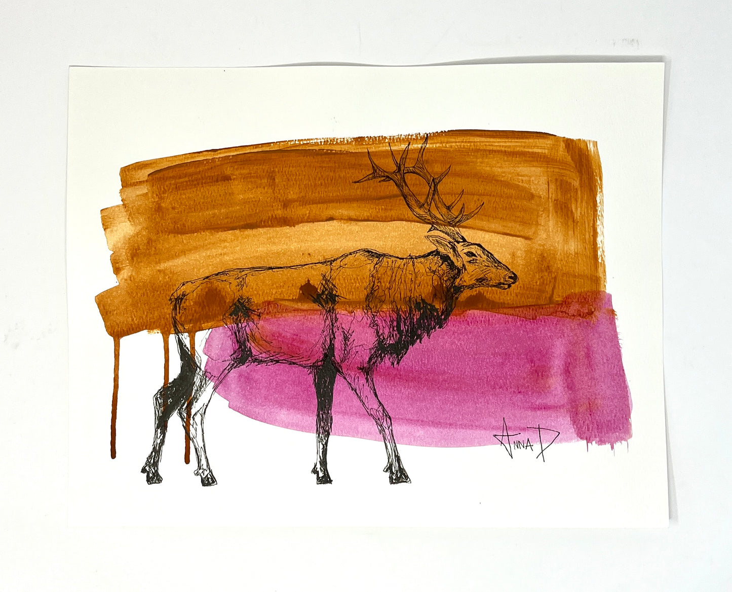 Anna Douglas Smith: Elk (Brown / Pink)