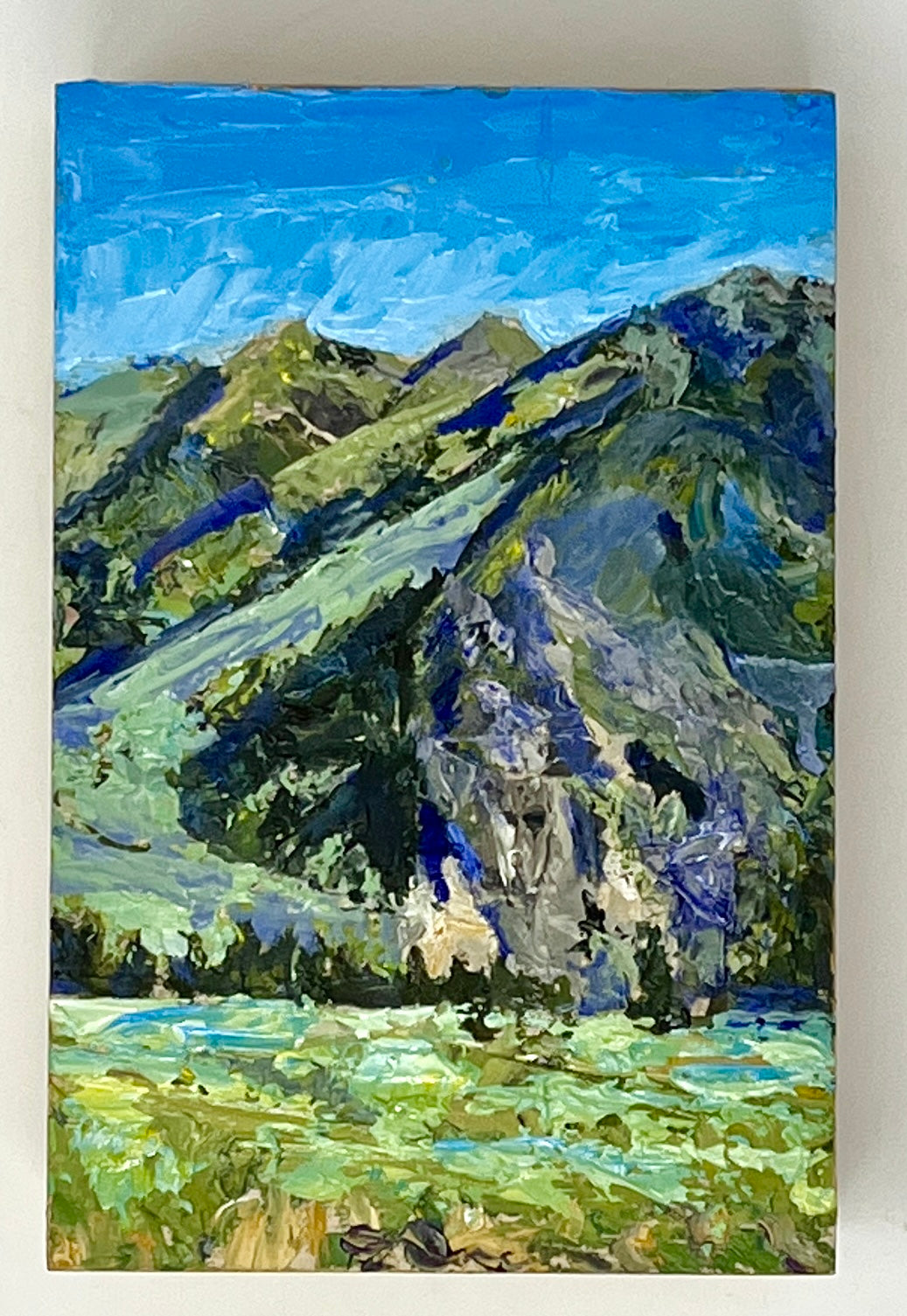 Richard Tambor: Mini Palette Oil Paintings