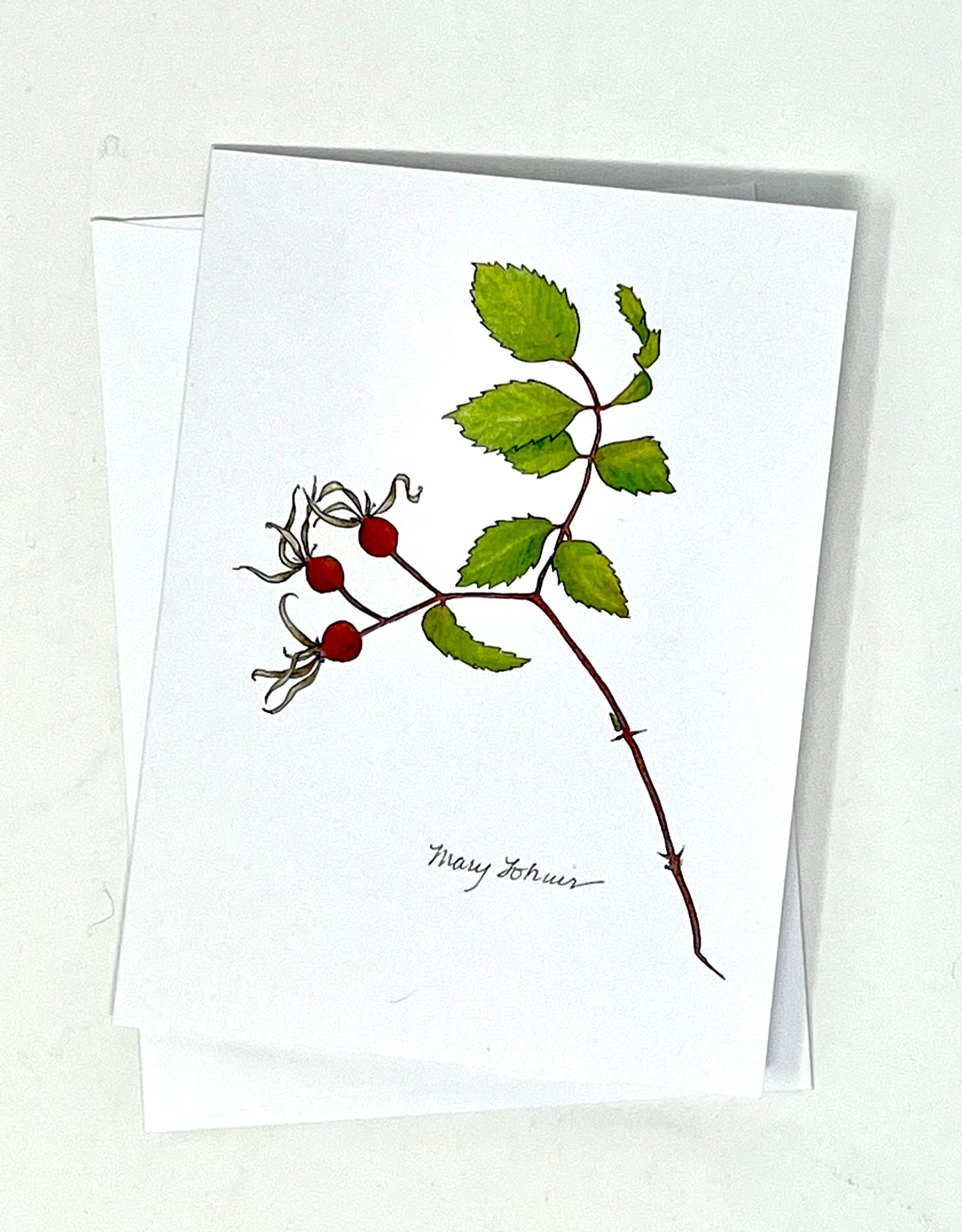 Mary Lohuis: Wild Rose Single Card