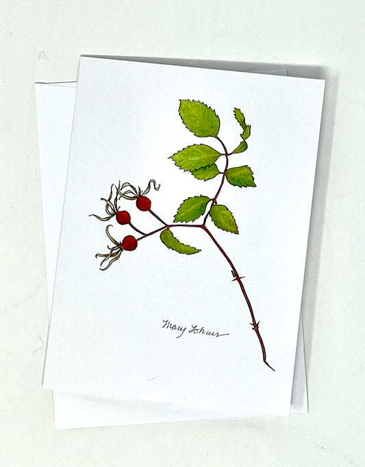 Mary Lohuis: Wild Rose Single Card