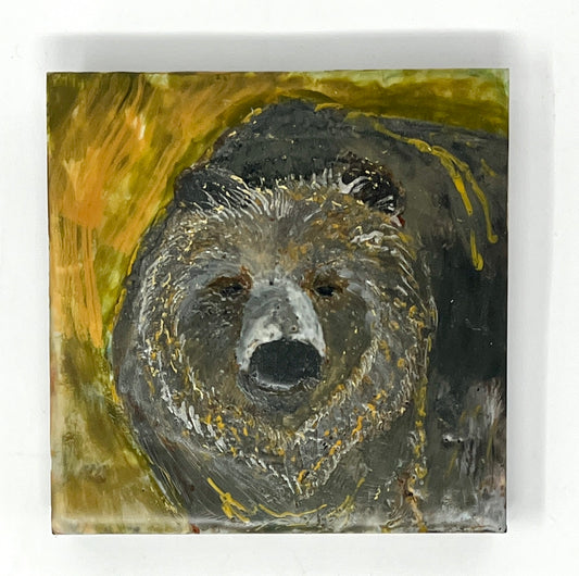 Laura Drew: Mr Bear