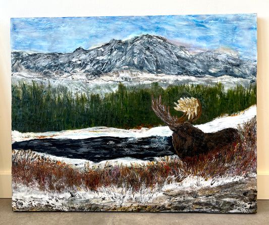 Laura Drew: Mr Moose