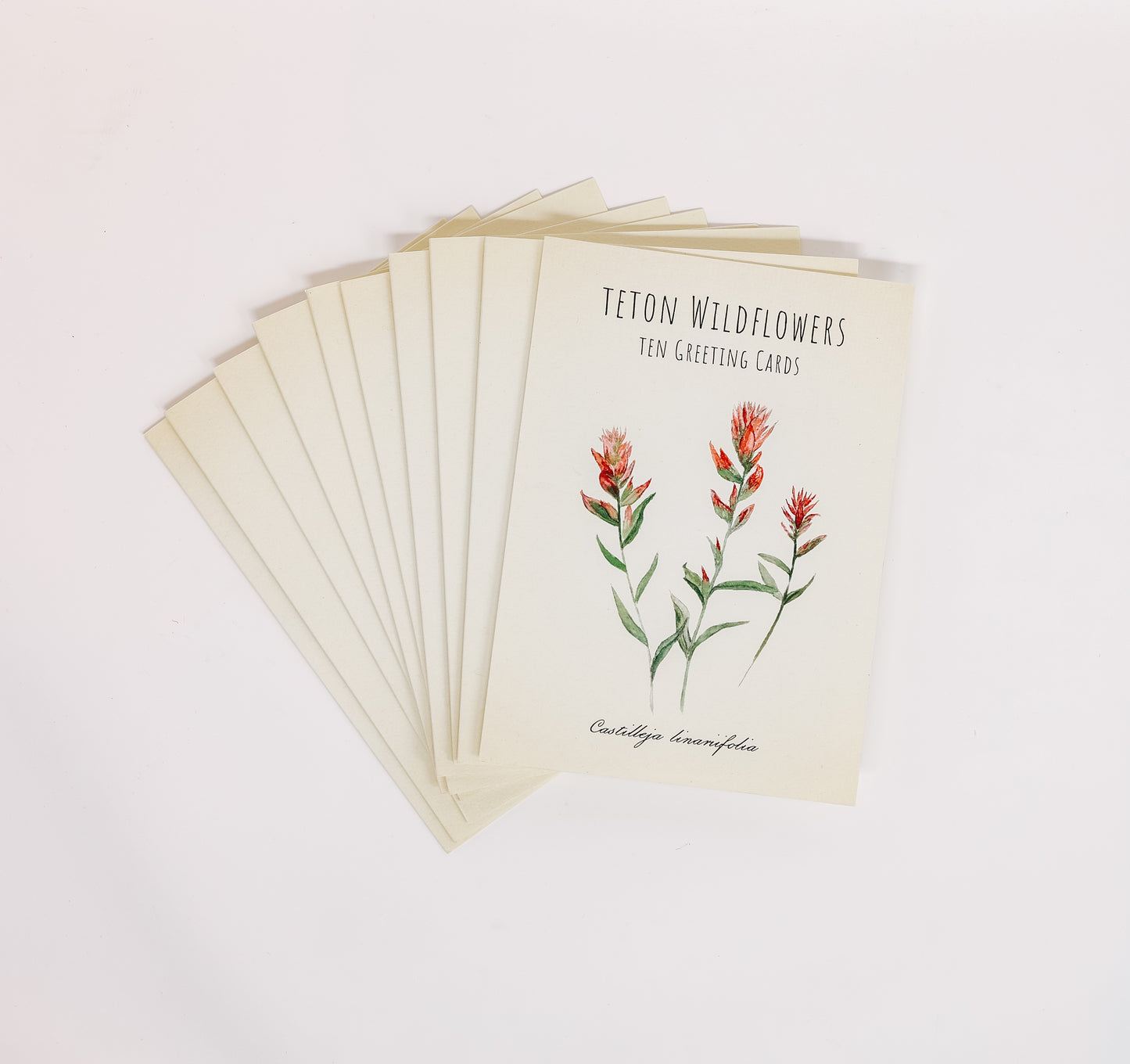 Julia Brady: Teton Wildflower Greeting Cards