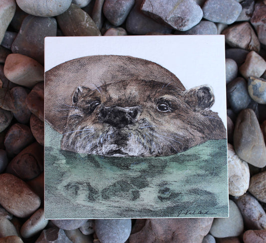 Reflections: River Otter