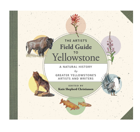 Artist's Field Guide to Yellowstone